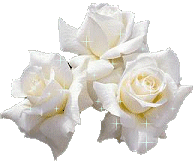 BELLES ROSES