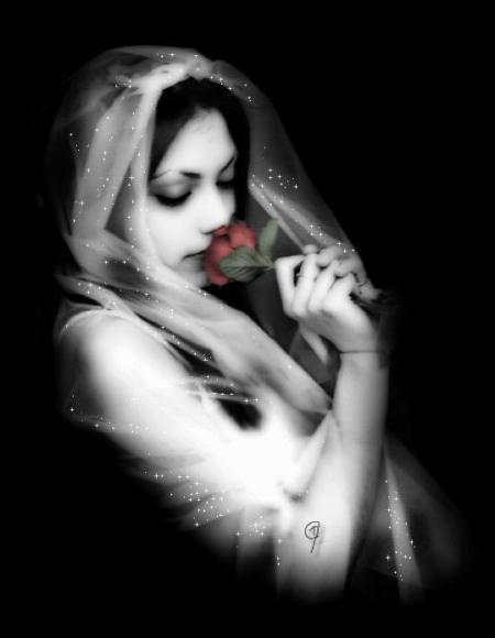 BEAUTE