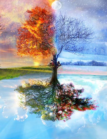 reverie