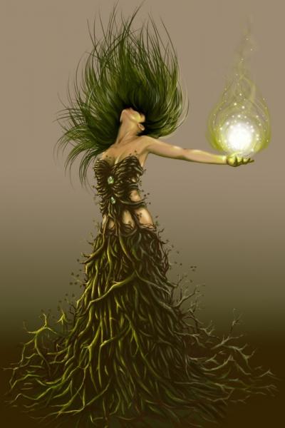 ESSENCE D'UN ARBRE